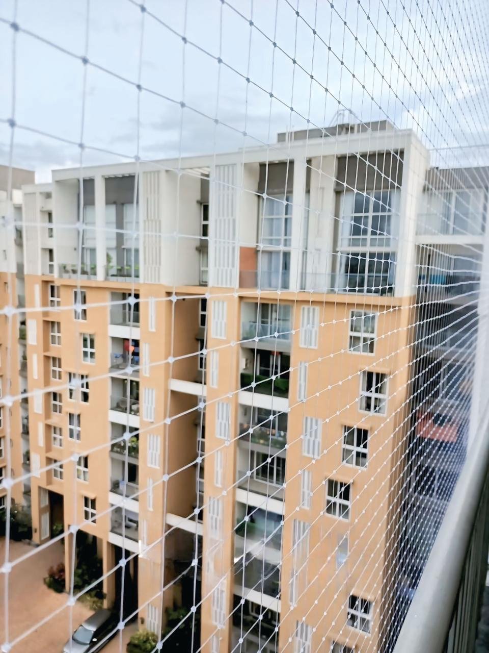 Bird net installation 2